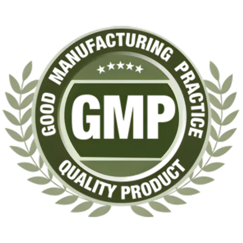 gmp logo
